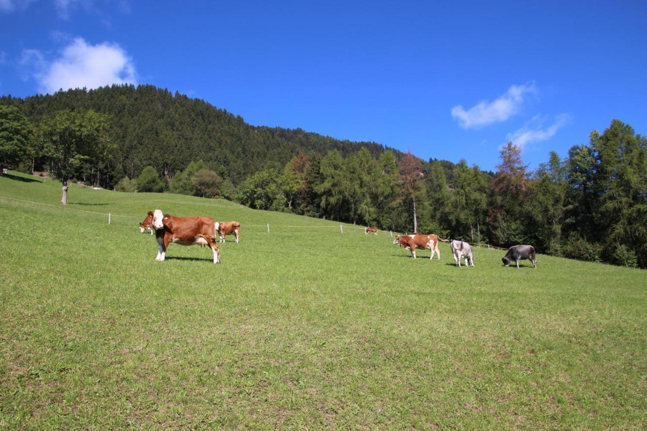 Gasthof Walde Rifiano Luaran gambar